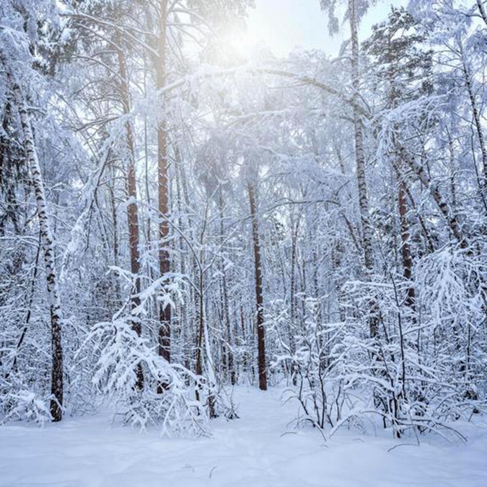 Gamifying Your Life - The Last Of Us Deep Dive cover