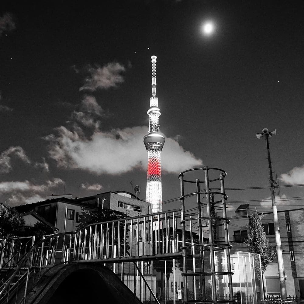 The Tokyo Skytree - XO cover