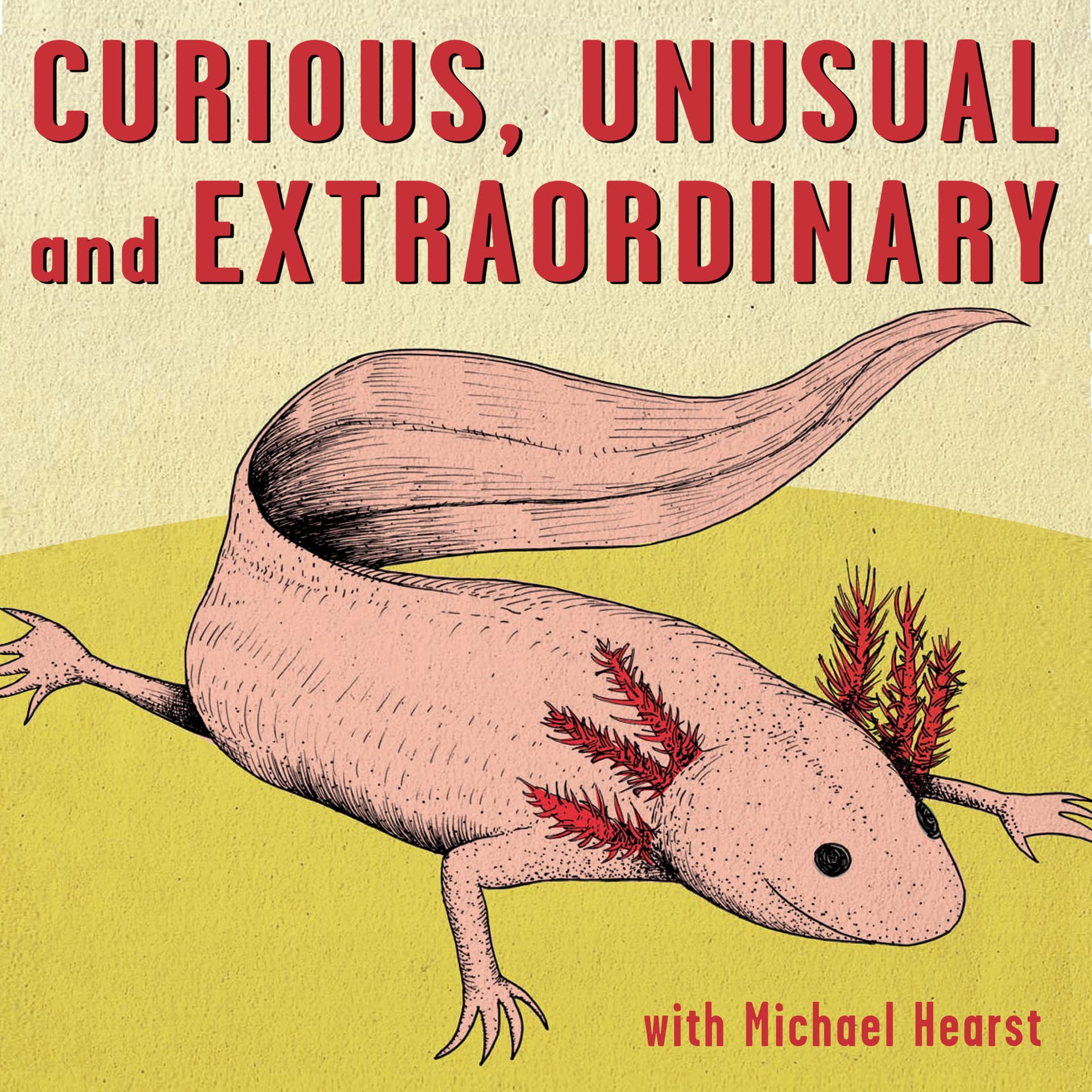Curious, Unusual, and Extraordinary cover