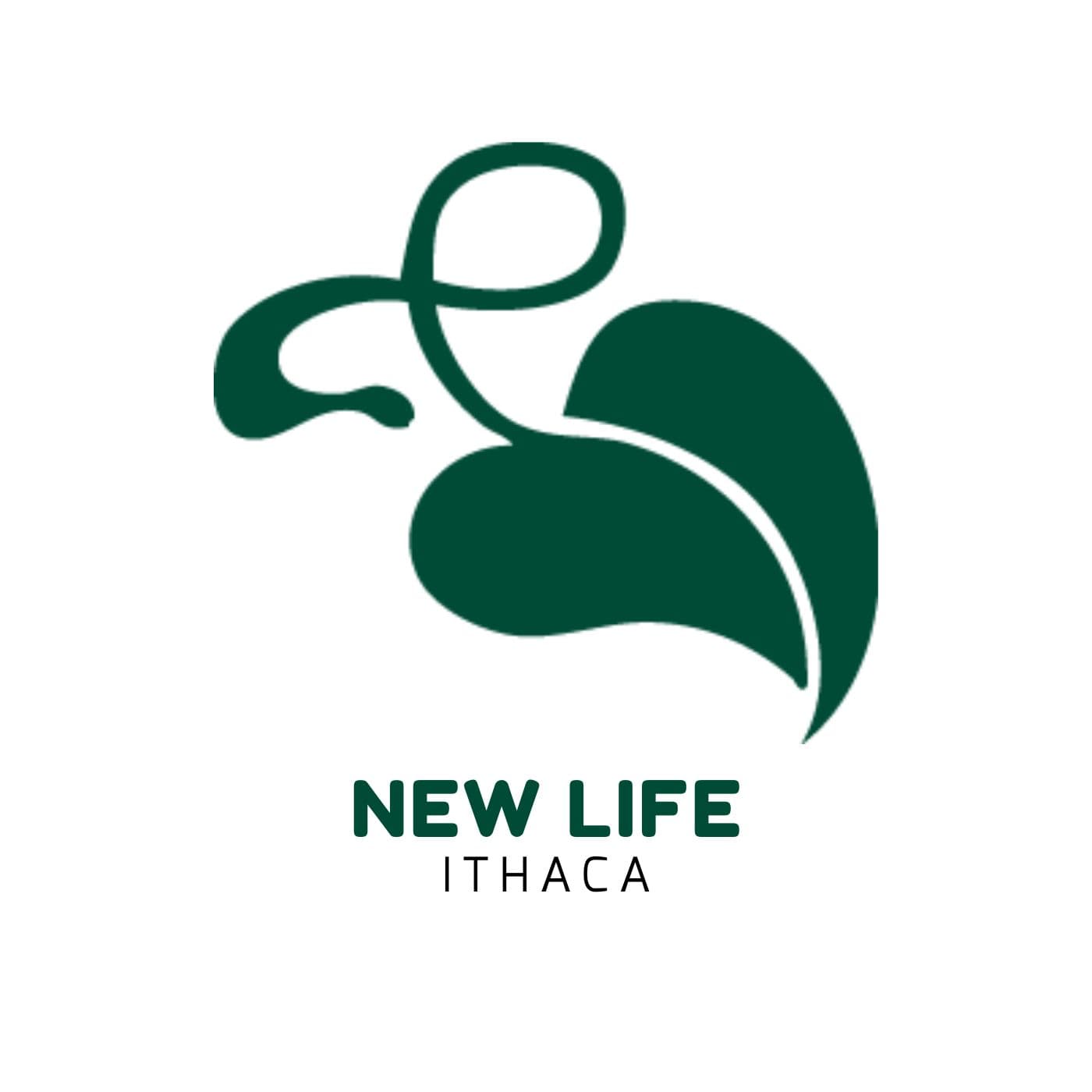 New Life Ithaca Presbyterian Church cover
