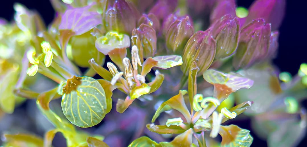 Photo Geek Weekly Episode 196 – Future Focus - Photo Geek Weekly cover