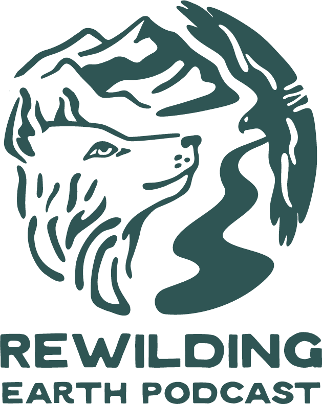 Episode 152: Wild Cat Rewilding In Pakistan - Rewilding Earth Podcast cover