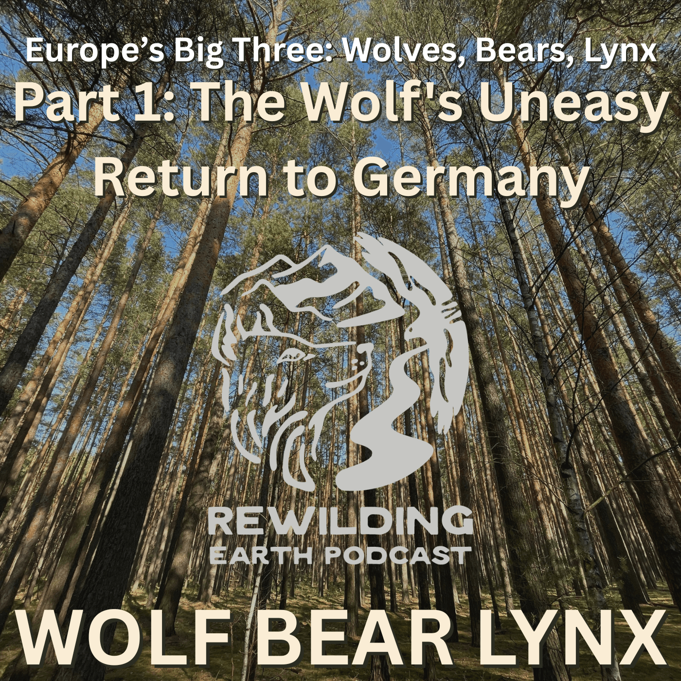 Episode 158: Europe’s Big Three – Wolves, Bears, Lynx. Part 1: The Wolf’s Uneasy Return to Germany — Rewilding Earth Podcast cover