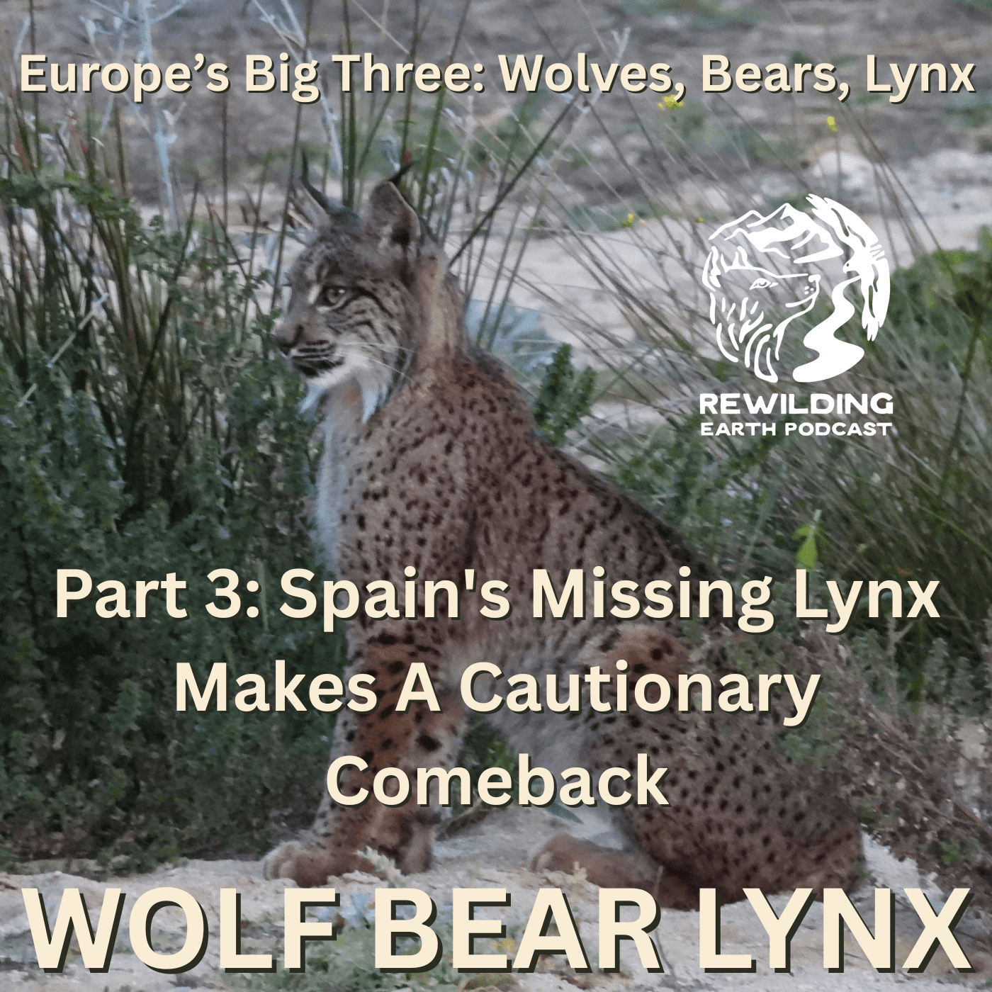 Episode 160: Europe’s Big Three – Wolves, Bears, Lynx. Part 3: Spain’s Missing Lynx Makes A Cautionary Comeback - Rewilding Earth Podcast cover
