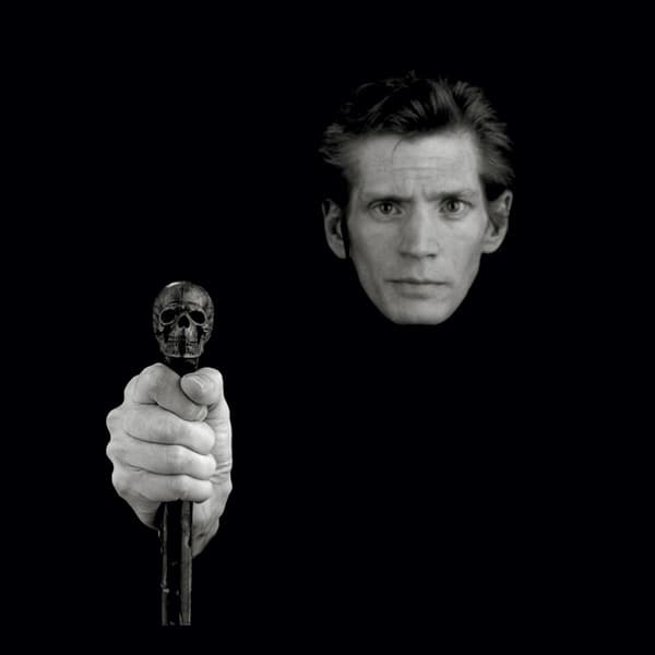 Edmund White raconte Robert Mapplethorpe - Robert Mapplethorpe cover
