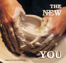 The New You cover