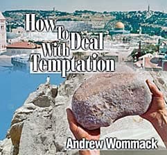 How To Deal With Temptation cover