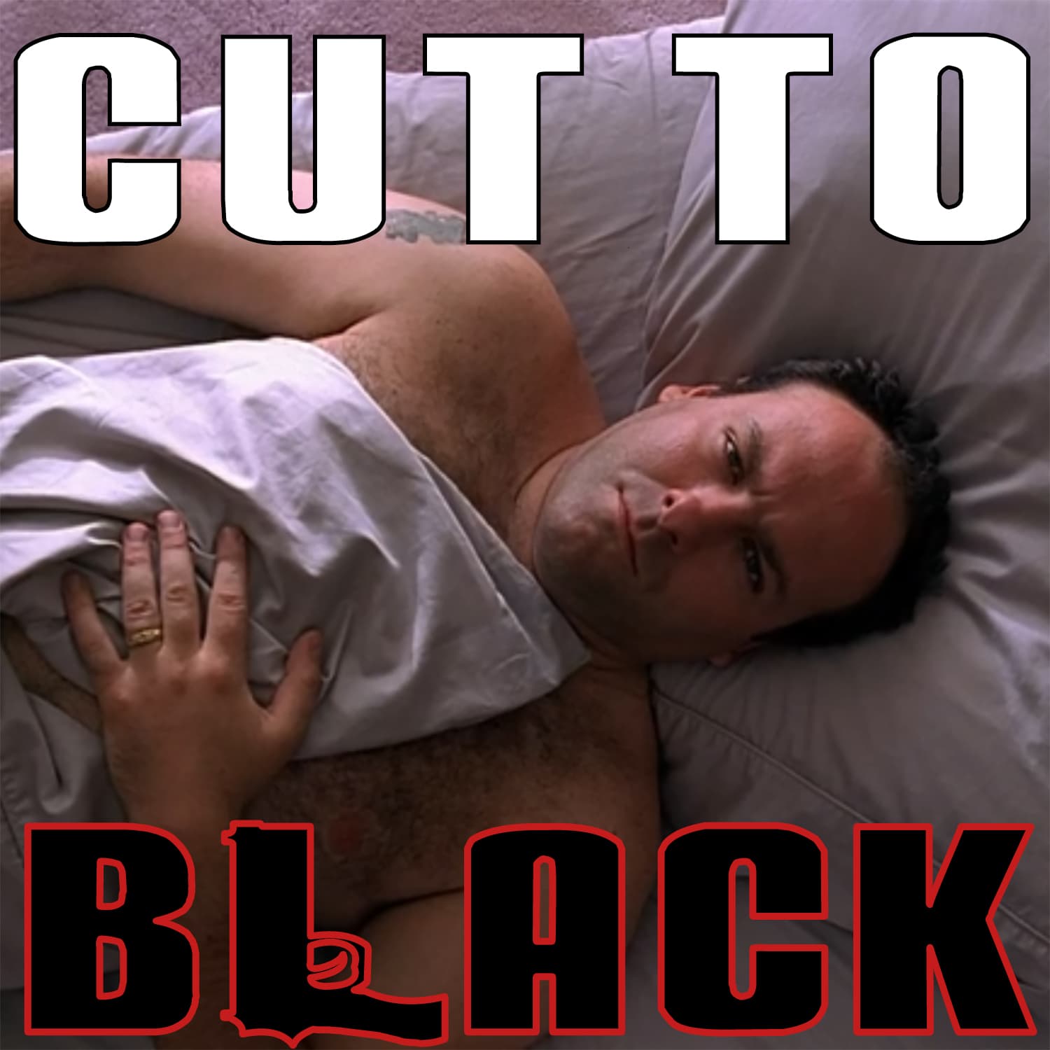 Cut To Black: A Sopranos Sitdown cover