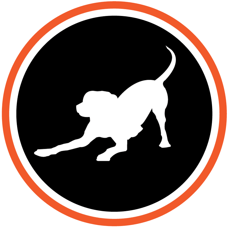 S11 Episode 68- The bash brozzz - Three Dogs North cover