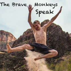 The Brave Monkeys Speak | Adventure and the Science of Stoked cover