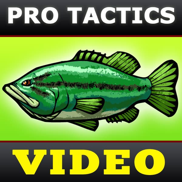 Bass Fishing Tactics Videos [BassFishin.Com] cover