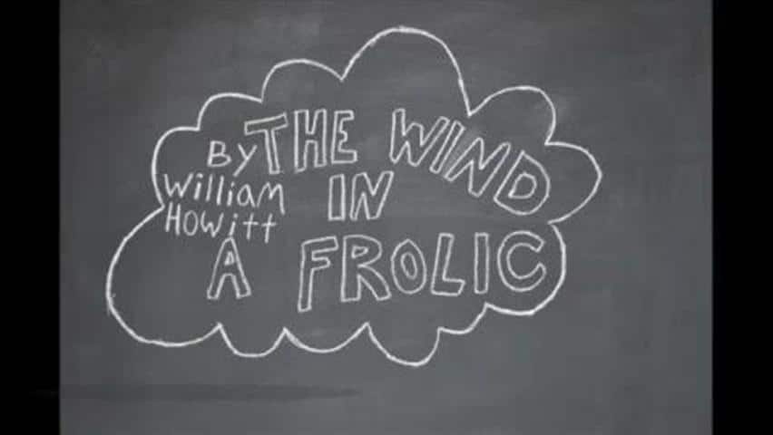 The Wind in a Frolic - CBC Download cover