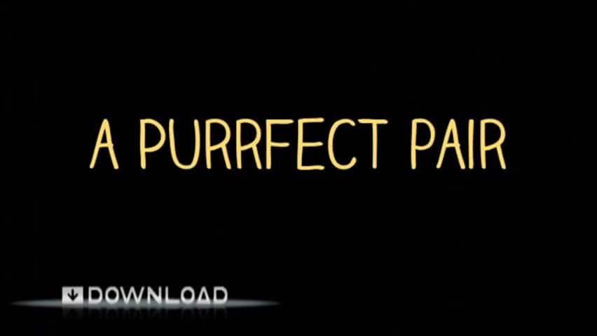 A Purrfect Pair - CBC Download cover