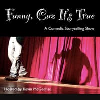 Funny, Cuz It's True cover