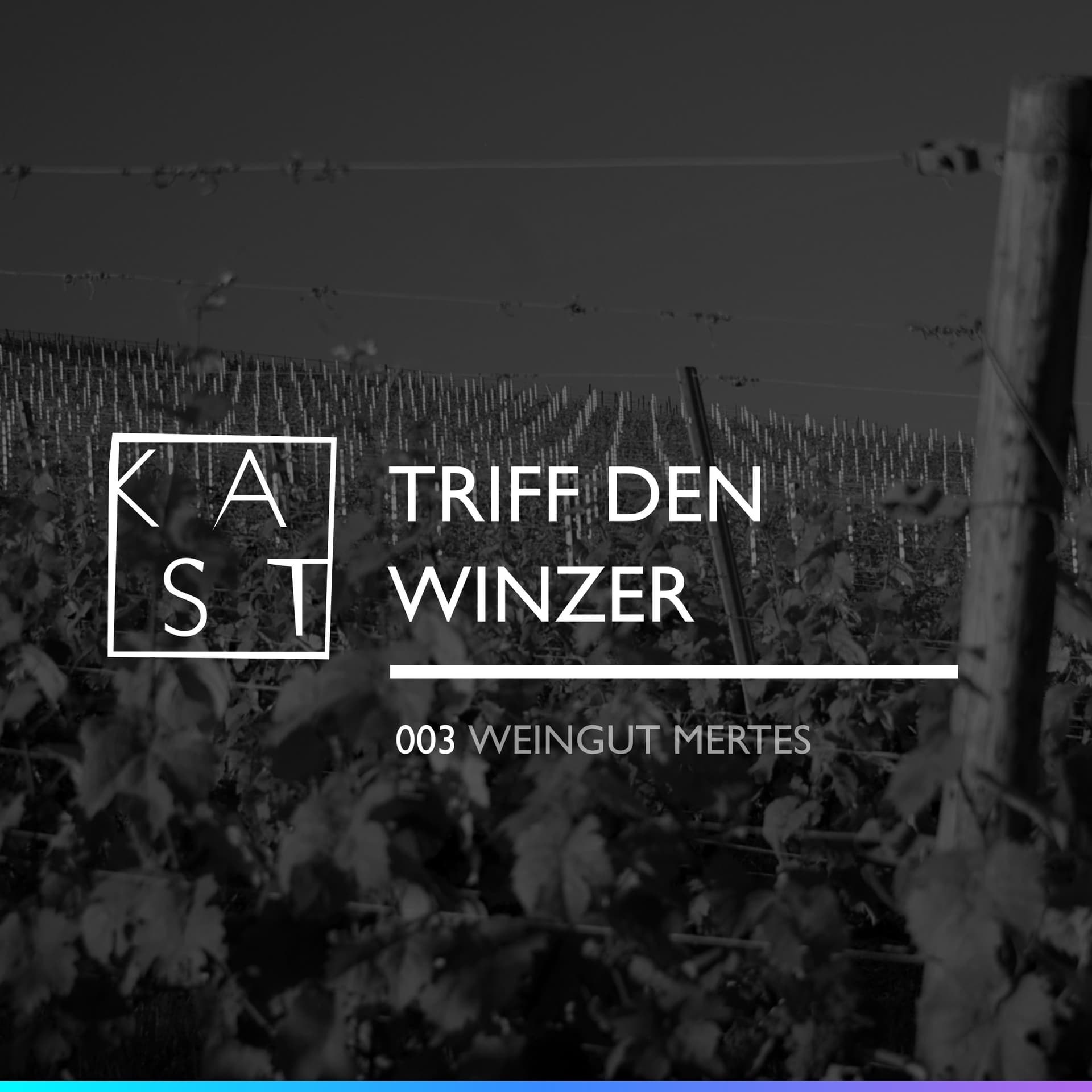 Triff den Winzer 003: Weingut Mertes - KAST cover
