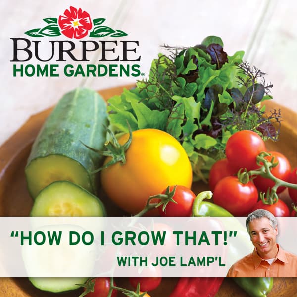 How do I Grow That?!? cover