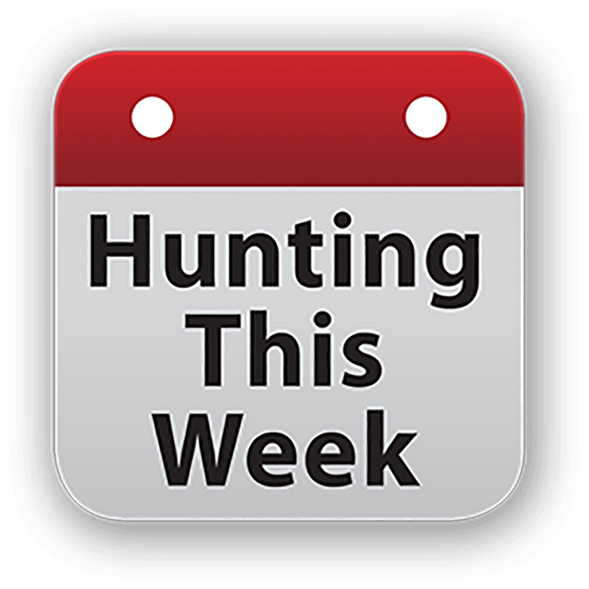 Hunting This Week cover