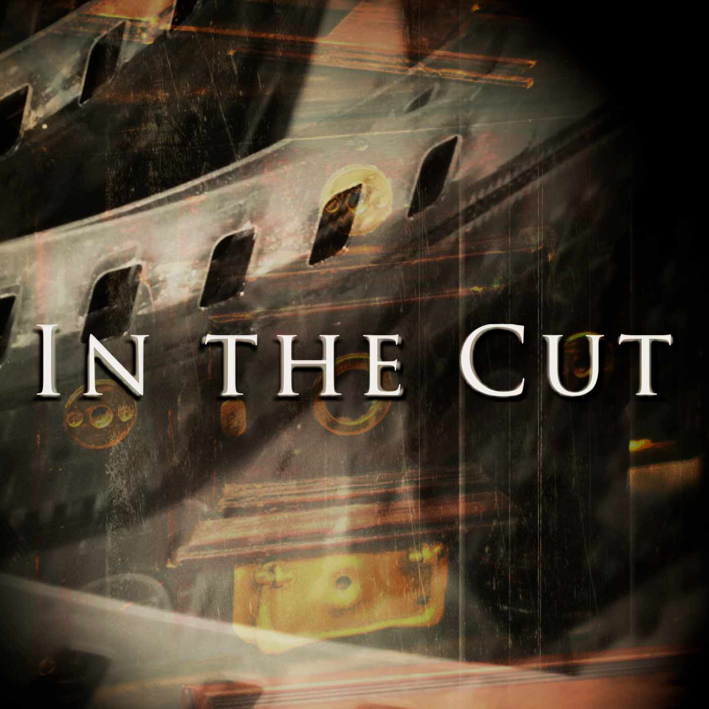 In the Cut cover