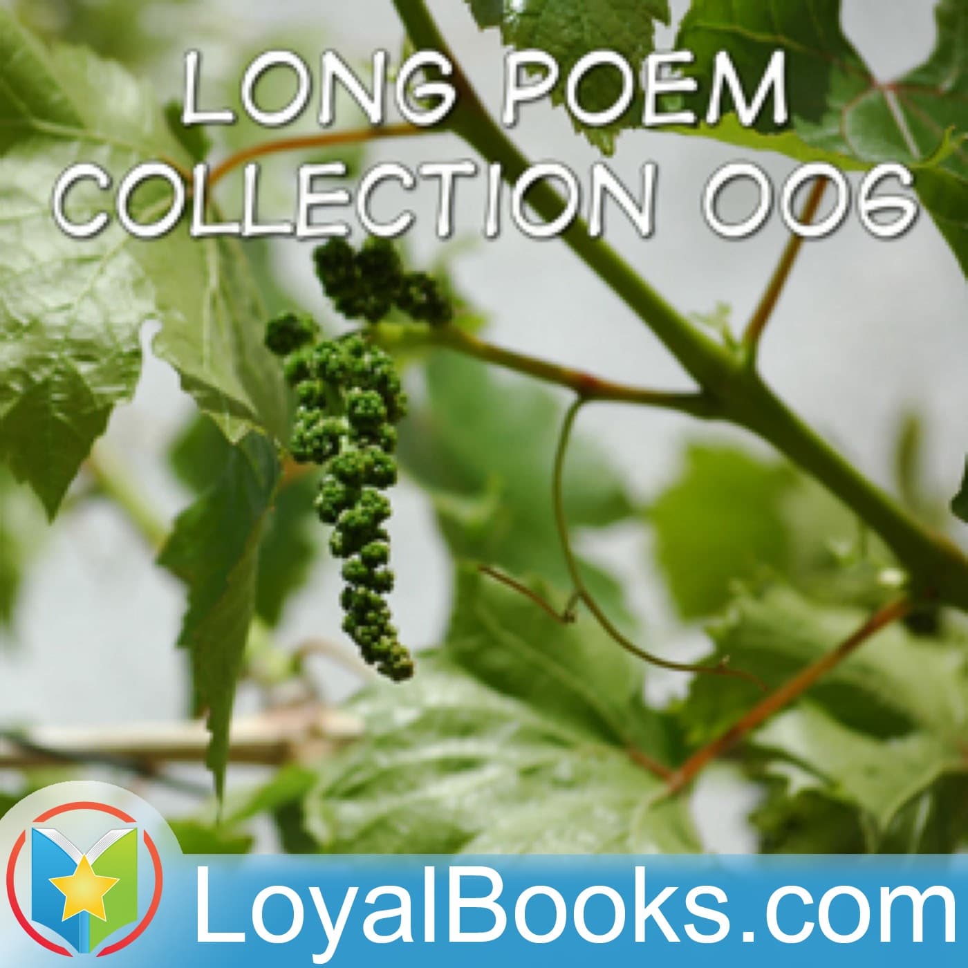 Long Poems Collection 6 by Various cover