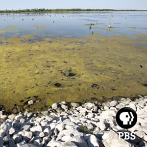 New Orleans: The Water Line - e2 | PBS cover