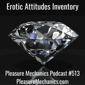 Erotic Attitudes Inventory — Speaking of Sex with The Pleasure Mechanics cover
