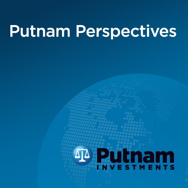 Putnam Perspectives cover