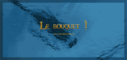 Le Bouquet ! - Radio Capitaine cover