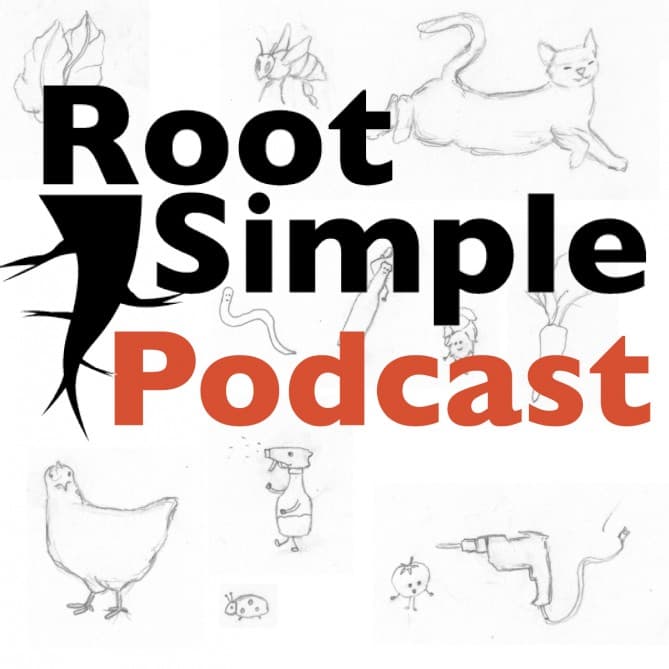 Team Human - Root Simple Podcast cover