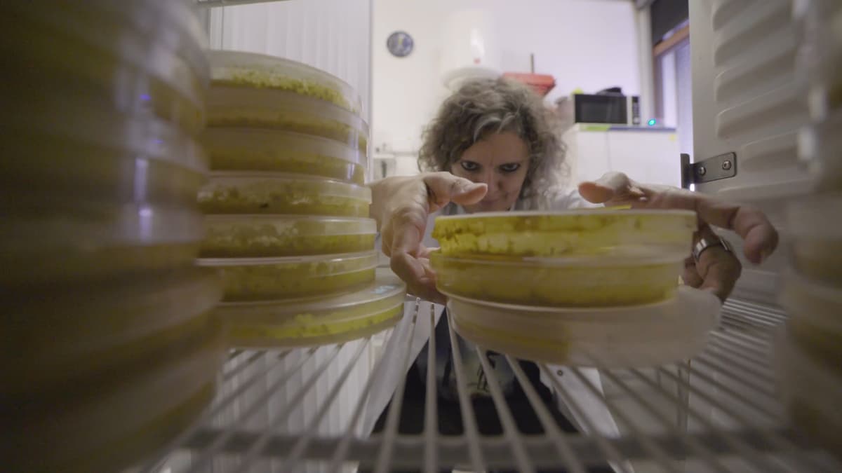 Breakthrough: The Slime Minder - Science Friday Videos cover