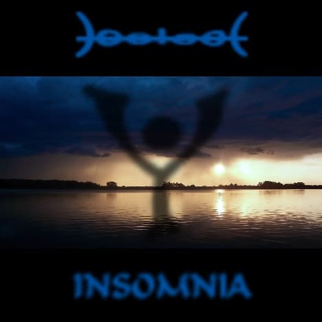 Insomnia - Variations électroniques sur la vie cover