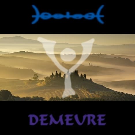 Demeure - Variations électroniques sur la vie cover