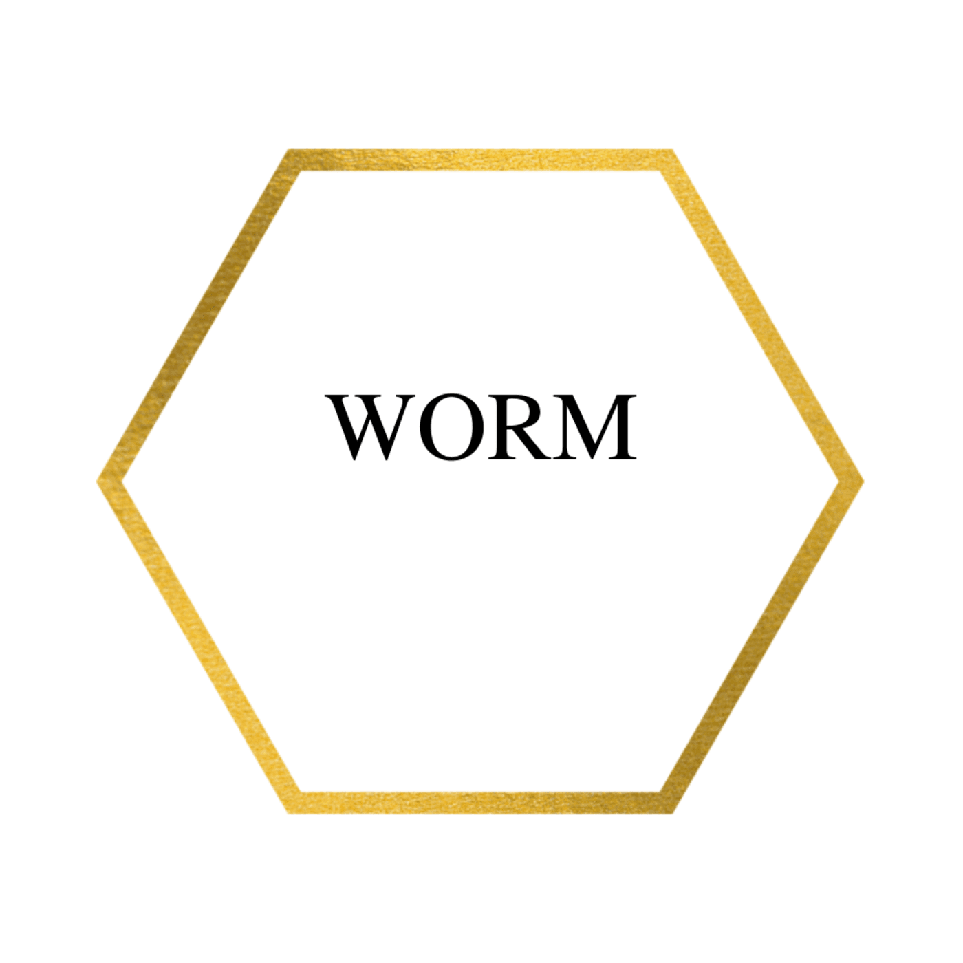 Worm: An Unabridged Production cover
