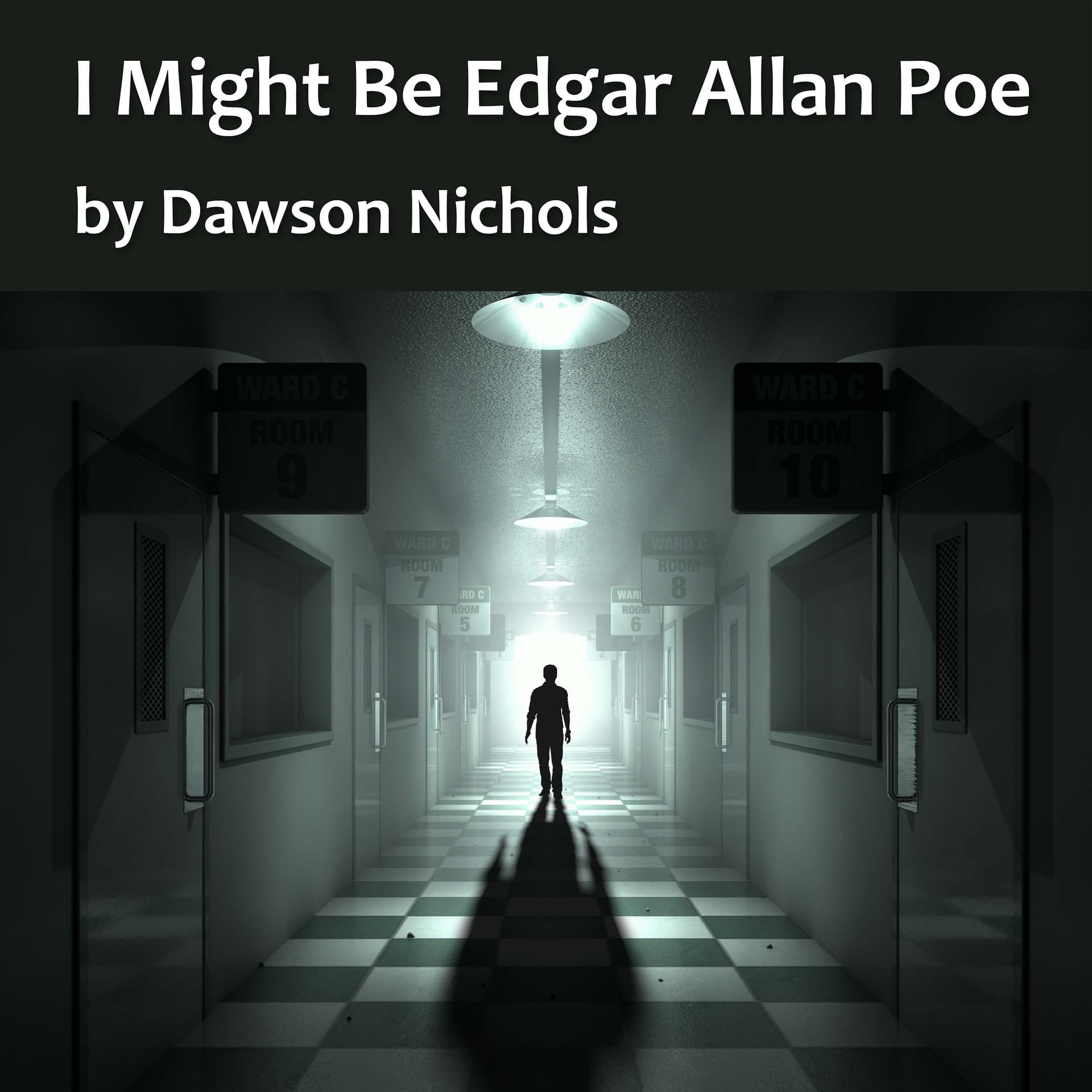 I Might Be Edgar Allan Poe - The Fourth Ambit cover