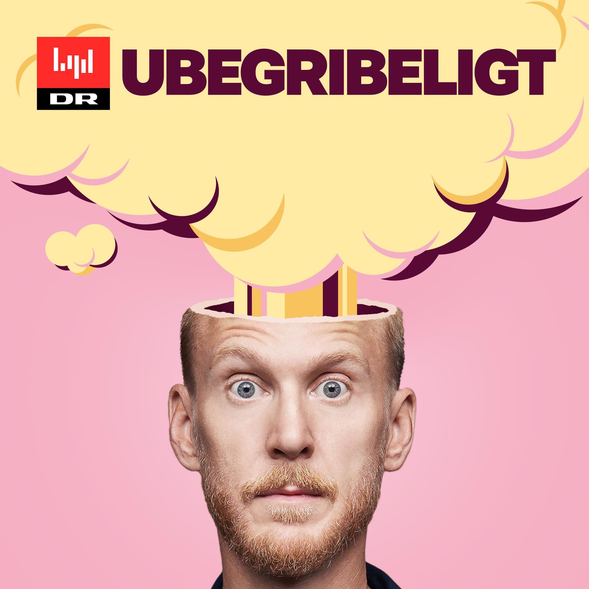Ubegribeligt cover