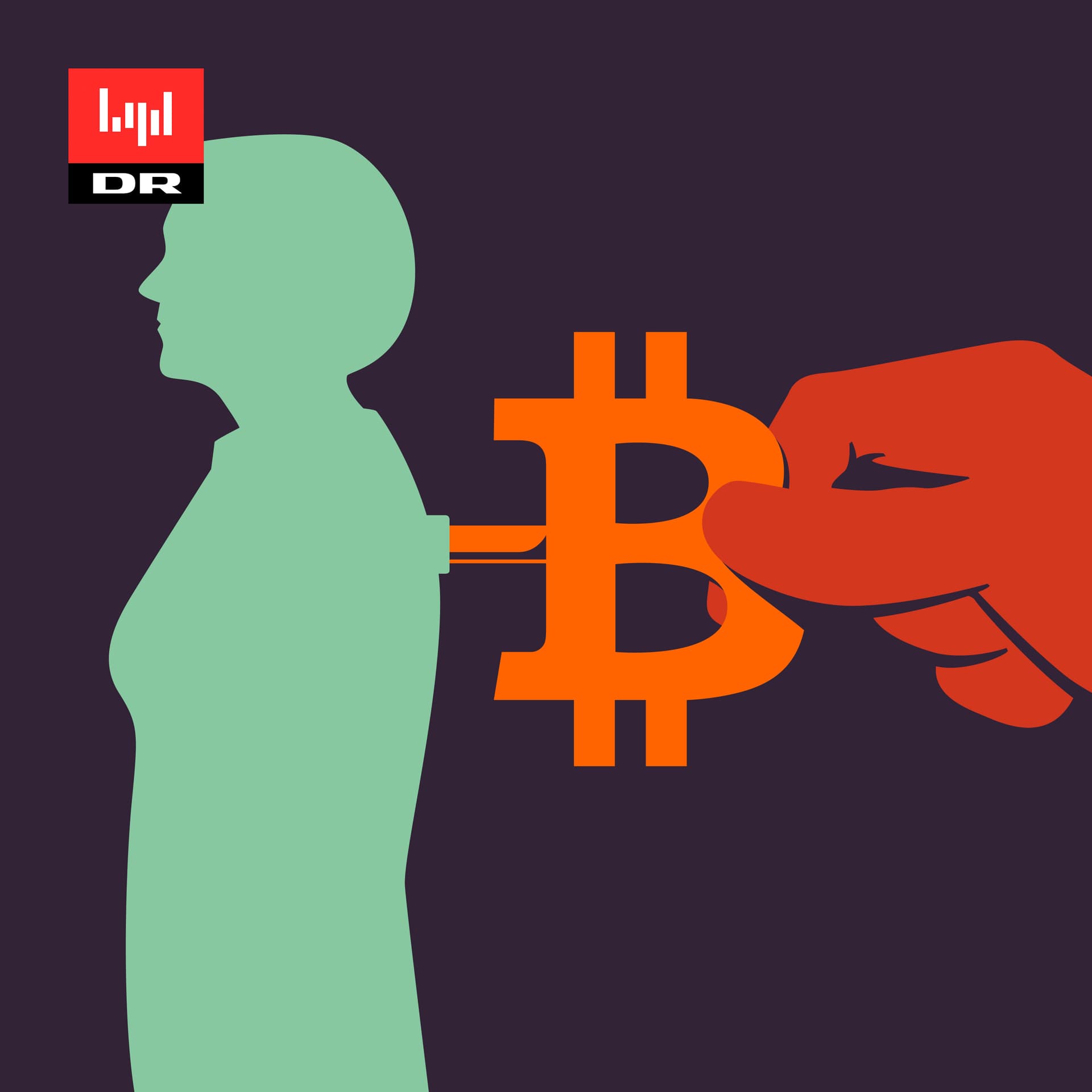 Bitcoin-bedraget cover