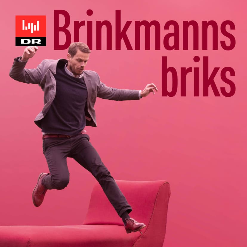 Brinkmanns briks cover