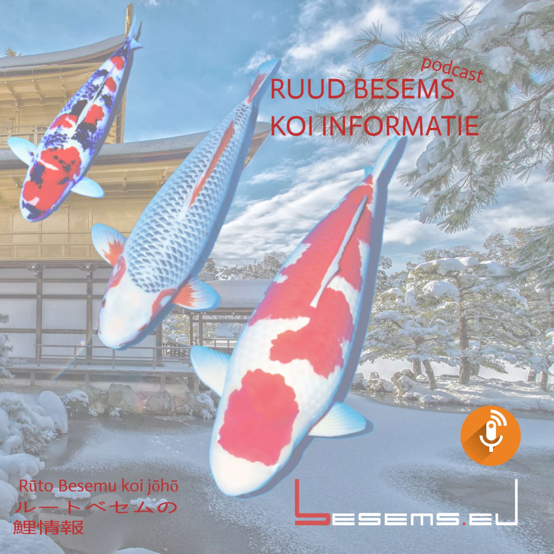 Ruud Besems Koi Informatie cover