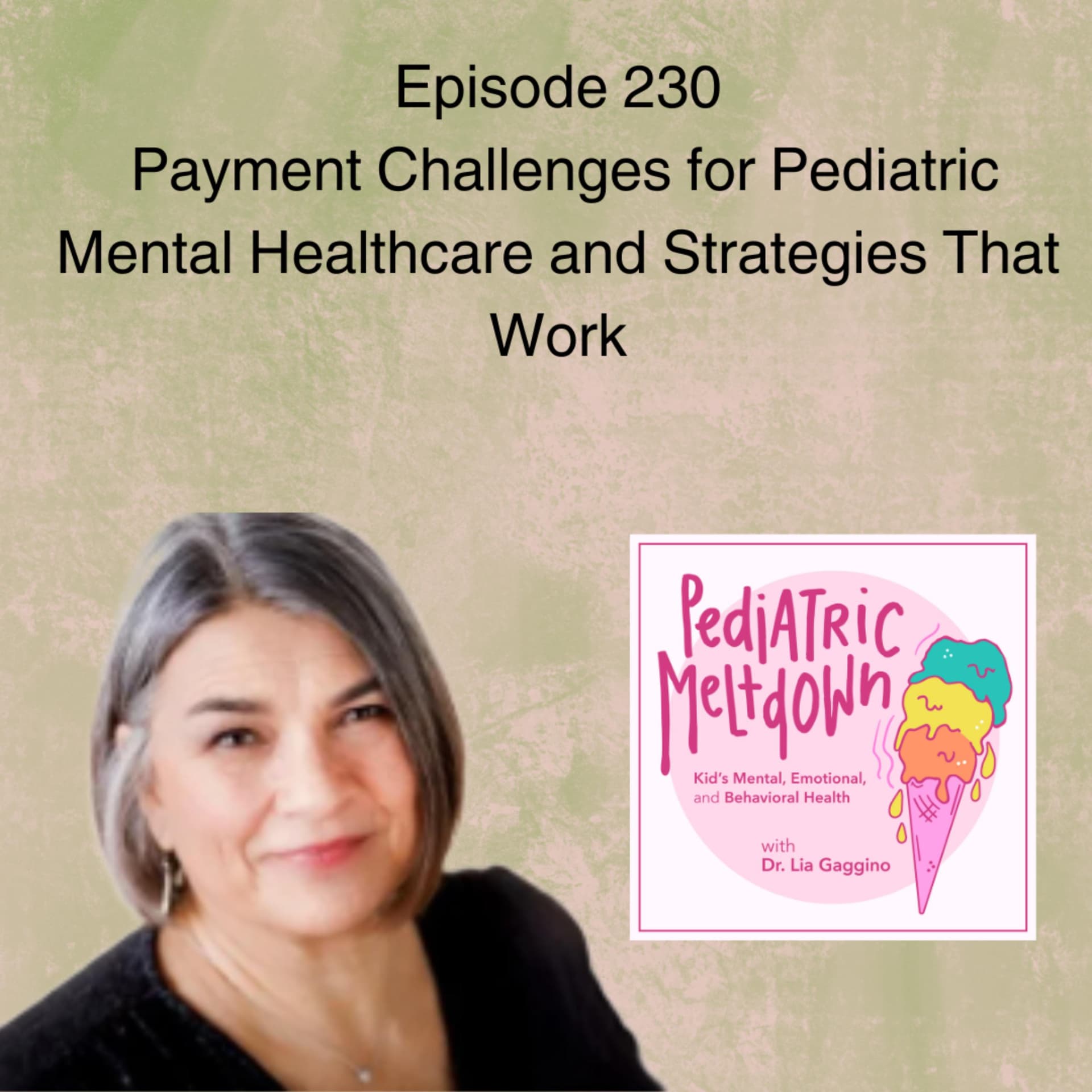 230.  Payment Challenges for Pediatric Mental Healthcare and Strategies that Work — Pediatric Meltdown cover