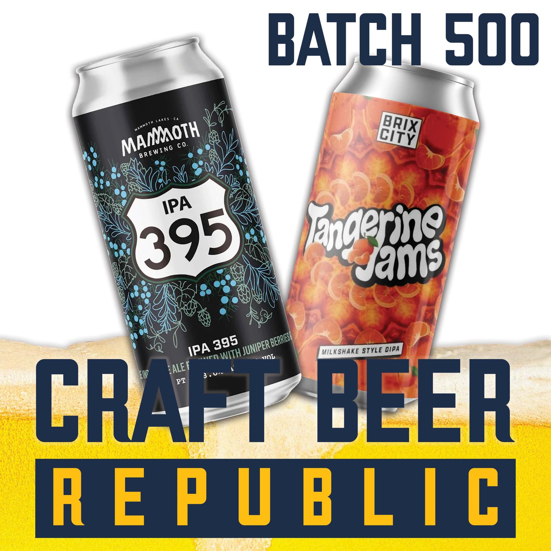 500 Beers Later - Craft Beer Republic cover