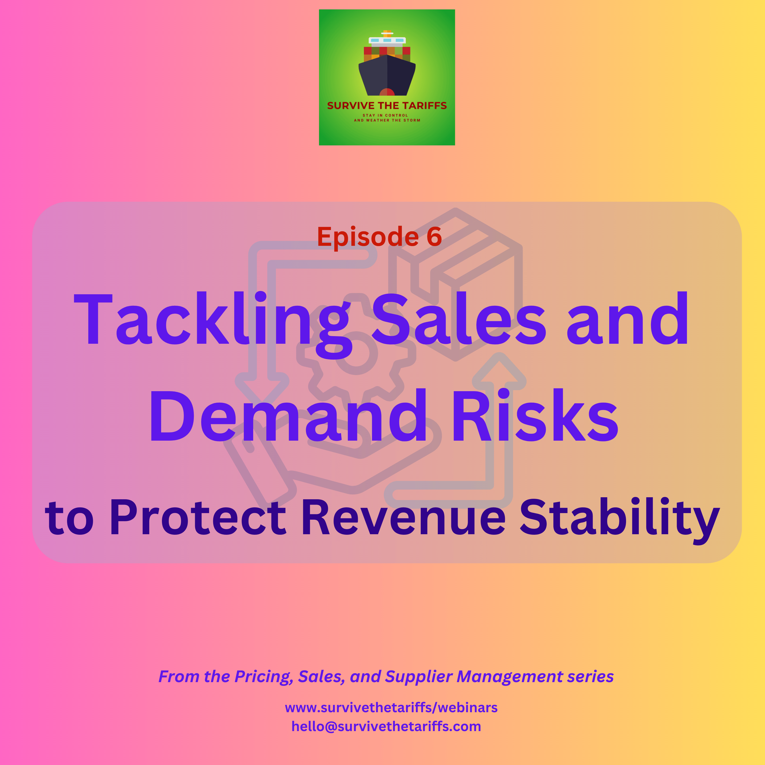 06 Tackling Sales and Demand Risks to Protect Revenue Stability - Survive the Tariffs - Webinar Program cover