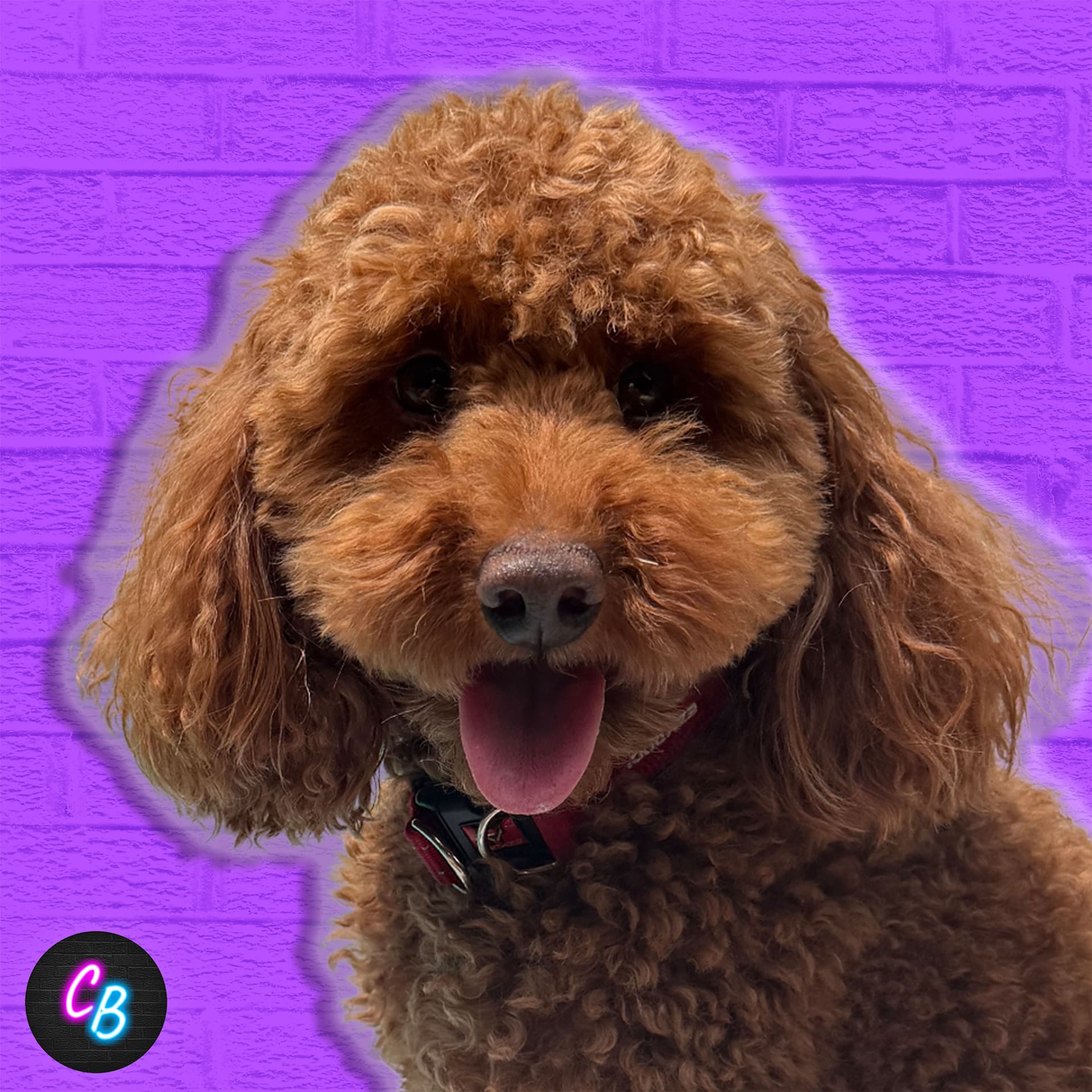 Honesty Is The Best Policy - Critical Banter cover