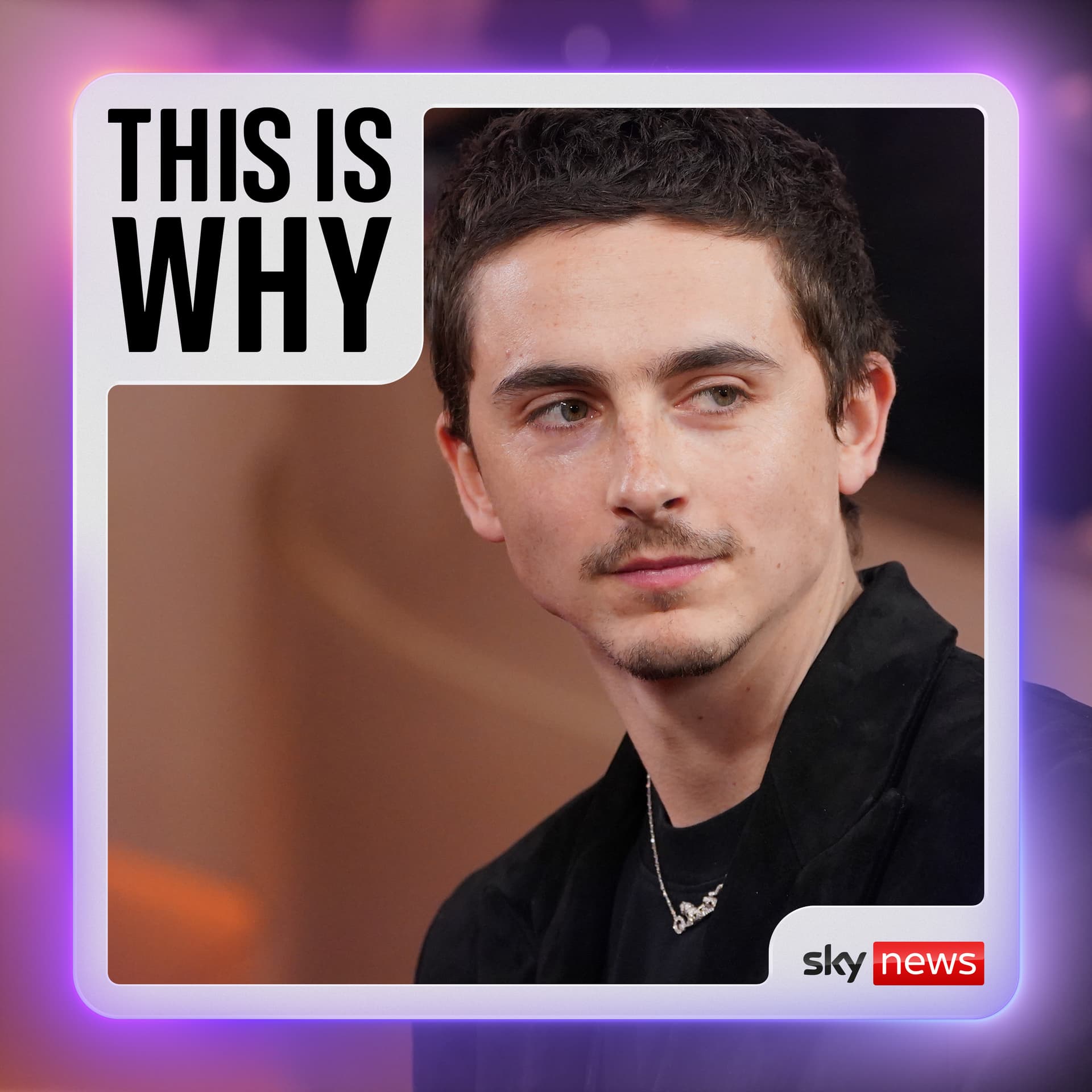 Why is Hollywood turning on Timothee Chalamet? - This Is Why cover