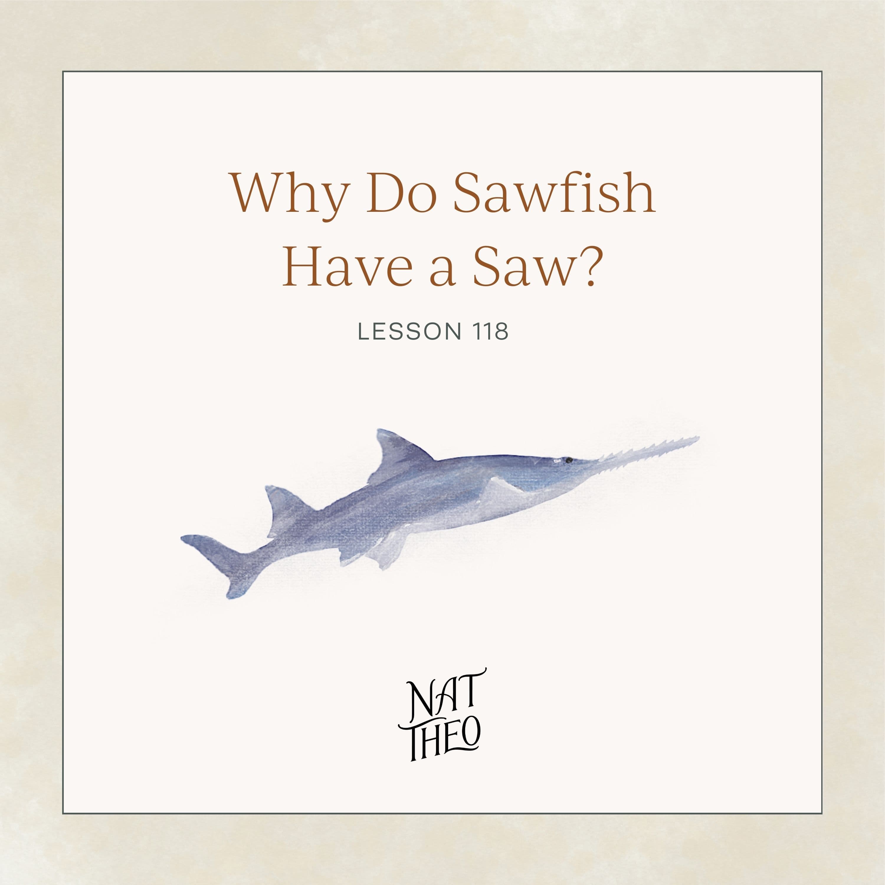 Why Do Sawfish Have a Saw? Lesson 118 - Nat Theo Nature Lessons Rooted in the Bible cover