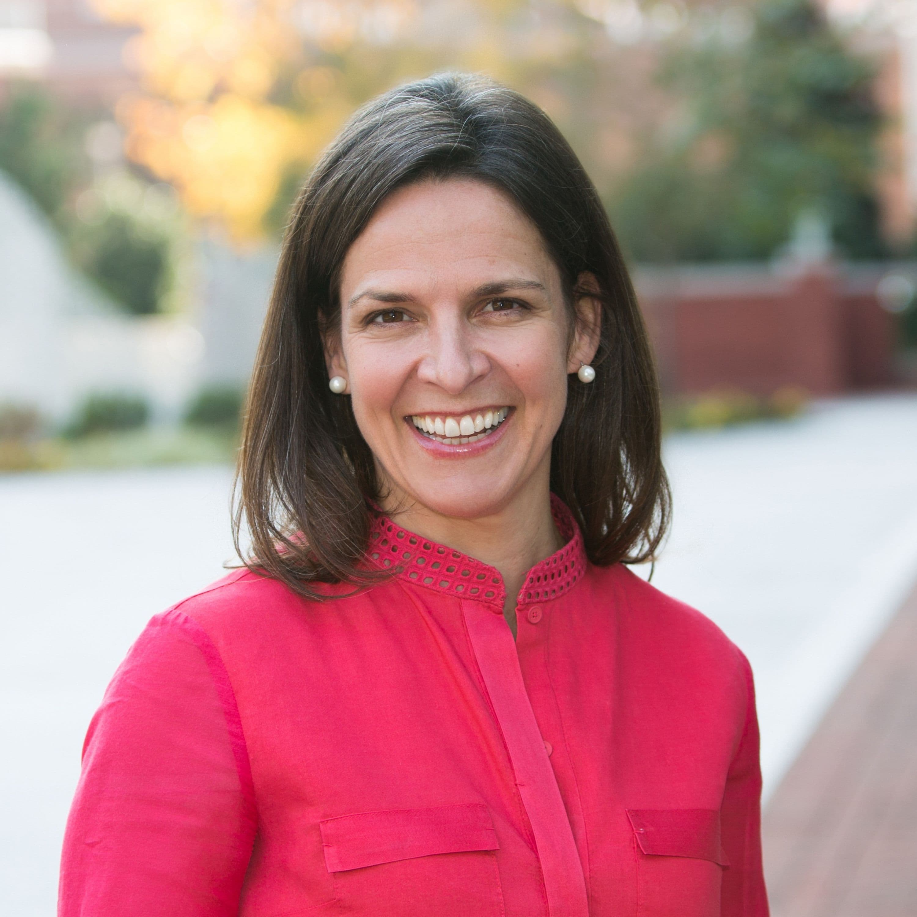 The WILD Factor: What High-Performing NGO Leaders Do Differently - The Modern Humanitarian and International Development Leader: Make a Greater Impact During Uncertainty as a NGO Leader While Avoiding Stress, Burnout and Overwhelm cover