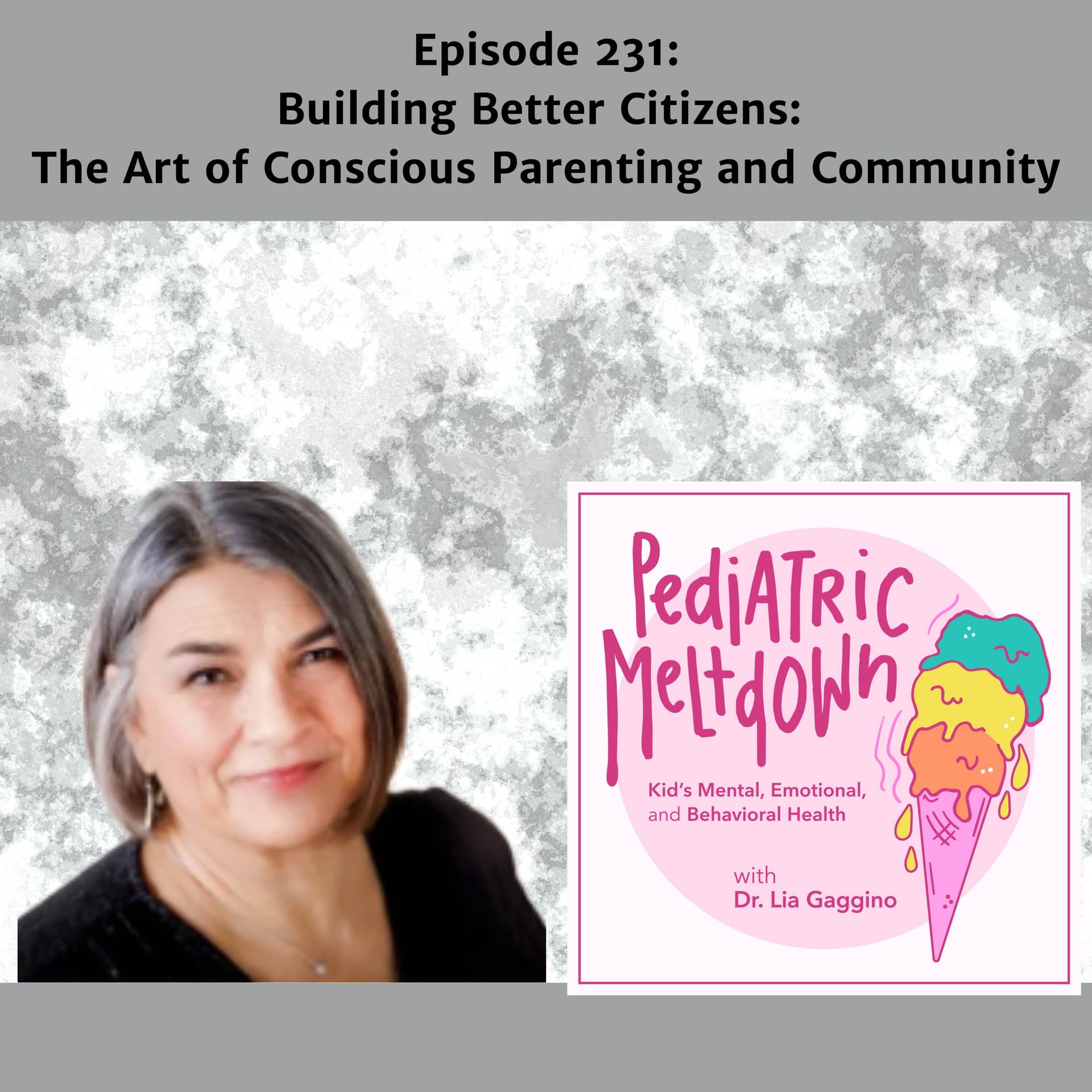 231.  Raising Good Citizens Through Conscious Parenting - Pediatric Meltdown cover