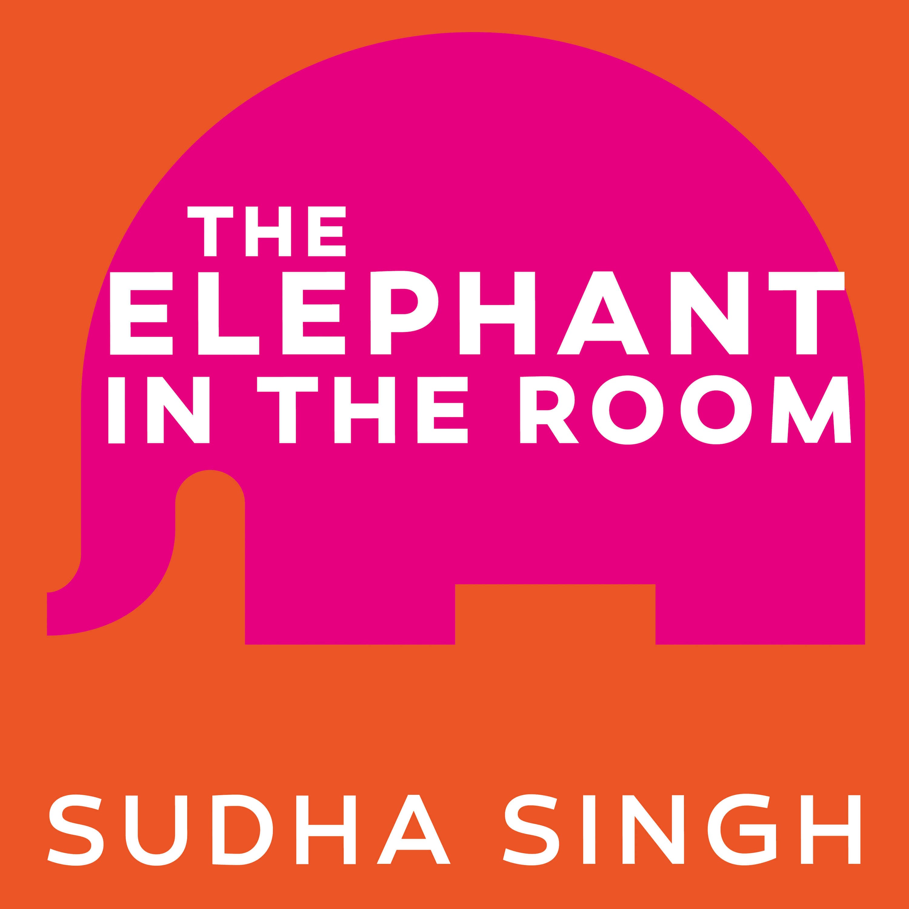 142: Social Justice, sustainability and innovative pathways for climate action: A conversation with Ashok Sinha - The Elephant in the Room cover