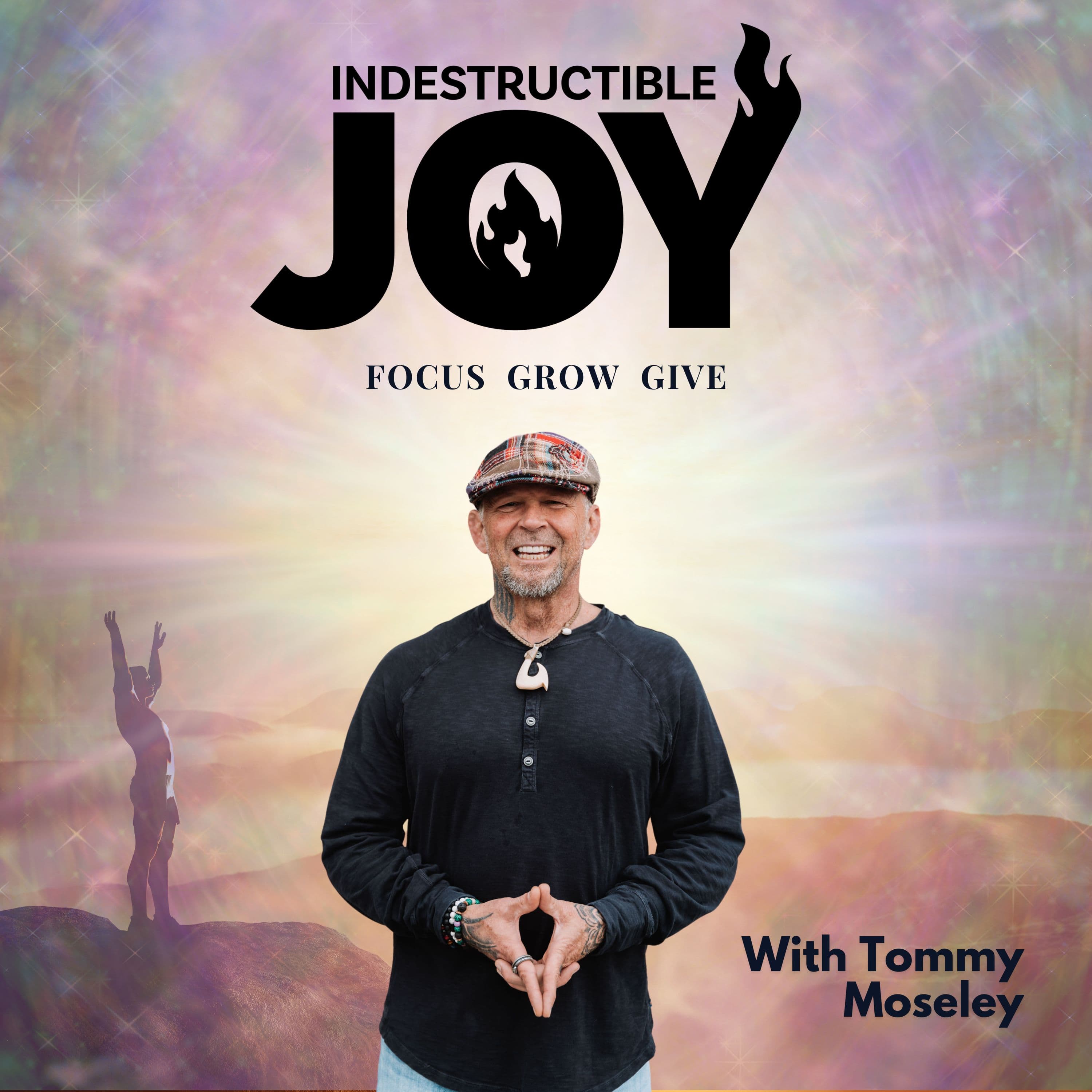 Indestructible Joy cover