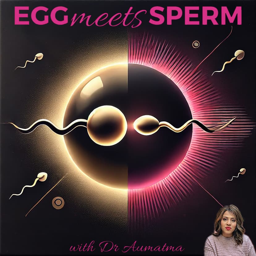 Egg Meets Sperm cover