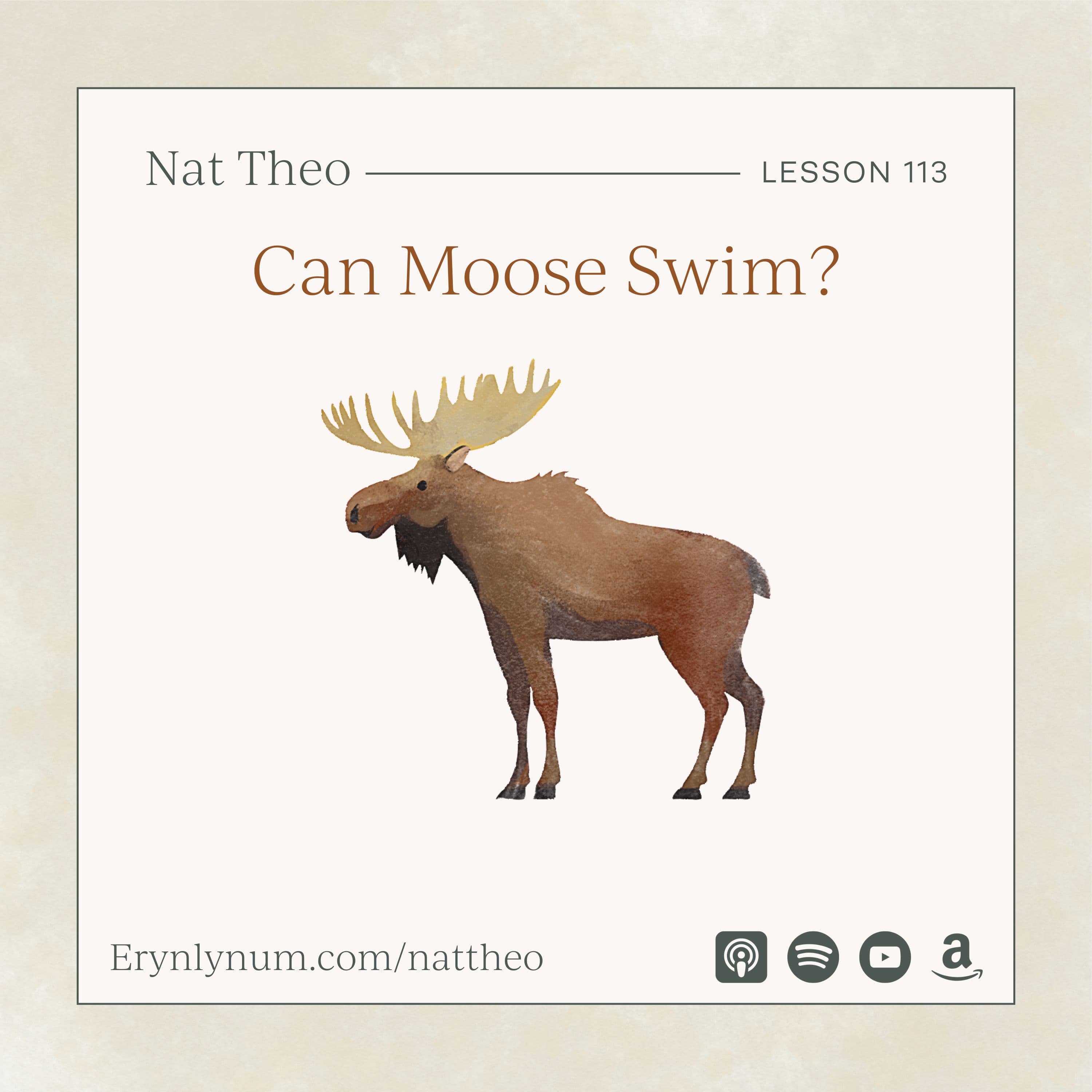 Can Moose Swim? Lesson 113 - Nat Theo Nature Lessons Rooted in the Bible cover