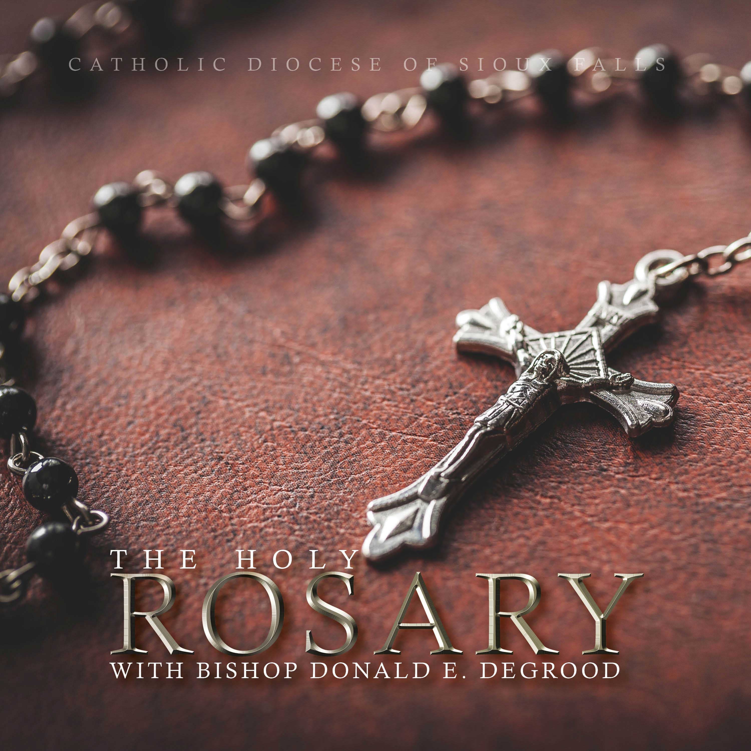 The Holy Rosary with Bishop Donald DeGrood cover